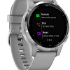 Умные часы Garmin Vivoactive 4s (серый/серебристый)