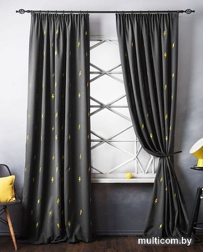 Комплект штор Pasionaria Флэш 290x240 с подхватами (мокрый асфальт)