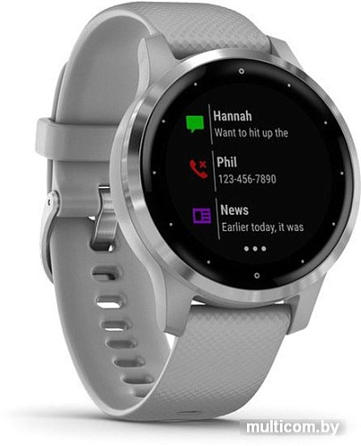 Умные часы Garmin Vivoactive 4s (серый/серебристый)