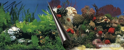 Фон Aqua Della Stone & Coral 120x50 см 241/108871