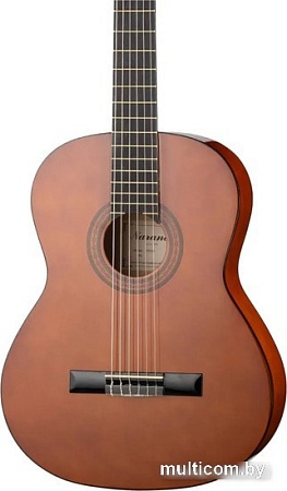 Акустическая гитара Naranda CG120-4/4