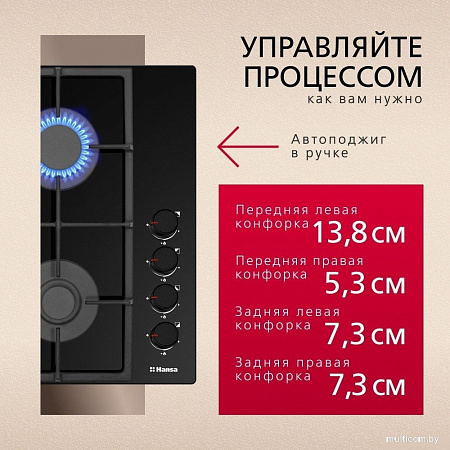 Варочная панель Hansa BHKS661830