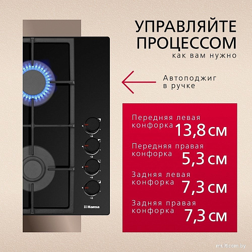 Варочная панель Hansa BHKS661830
