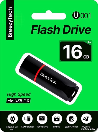 USB Flash BreezyTech U001 16GB (черный)