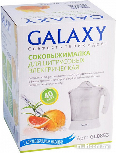 Соковыжималка Galaxy GL0853