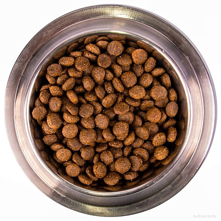 Сухой корм для собак Monge Daily Line Maxi Puppy с курицей (12 кг)