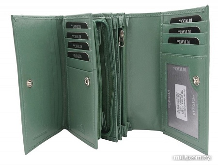Кошелек Cedar 4U Cavaldi RD-22-GCL (бирюзовый)