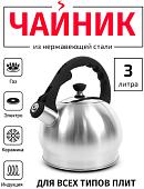 Чайник со свистком TimA WTK196