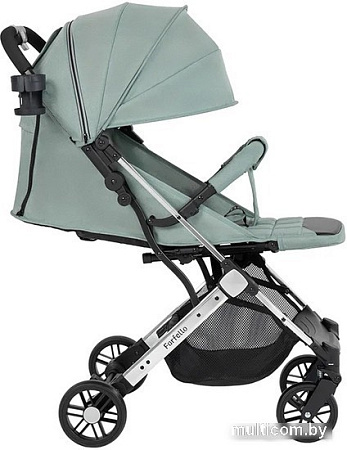 Farfello Comfy Go Comfort CG-103 (зеленый/серебристый)