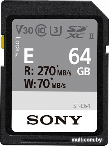 Карта памяти Sony SDXC SF-E64 64GB