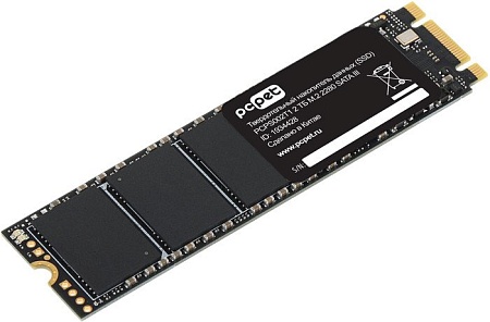 SSD PC Pet 2TB PCPS002T1