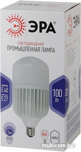 Светодиодная лампа ЭРА LED Power T160 E27/E40 100 Вт 6500 К