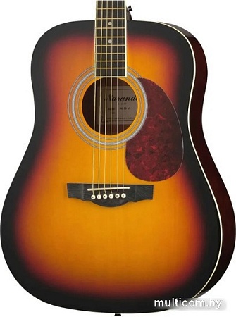 Акустическая гитара Naranda DG120VS