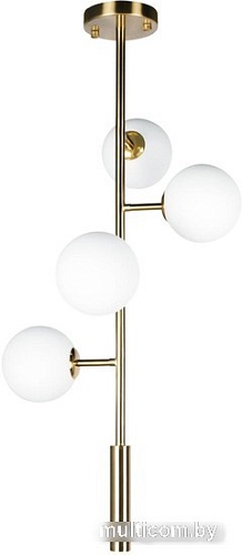 Подвесная люстра LOFT IT Tely 10236/4
