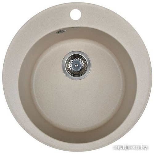 Кухонная мойка Wisent 510-30WR (с сифоном GER013)