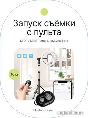 Кольцевая лампа Raylab RL-0114 Kit