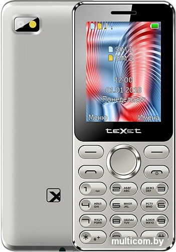 Мобильный телефон TeXet TM-212 (серый)