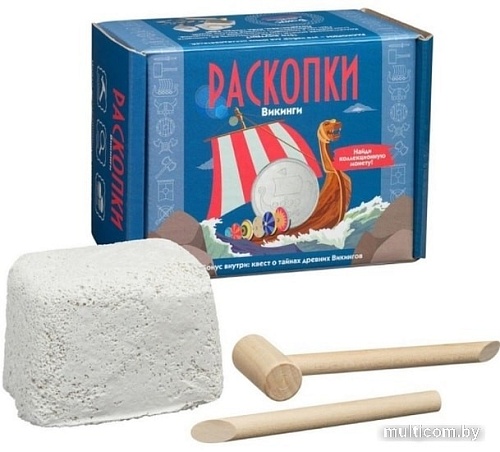 Набор для опытов Раскопки Викинги с монетой DIG-25