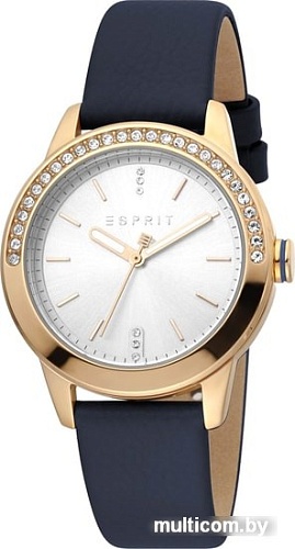 Наручные часы Esprit ES1L136L0055