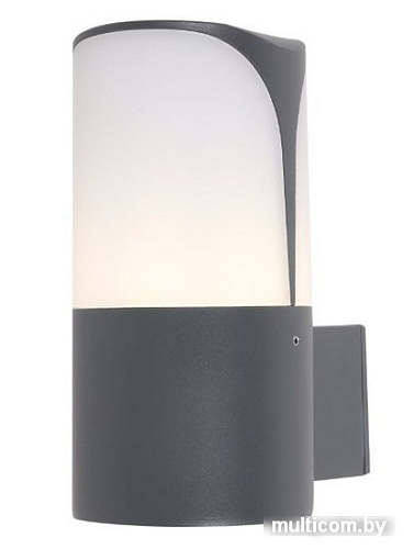 Уличный фонарь Maytoni Piccadilly O016WL-01B