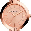 Наручные часы Fossil BQ3206