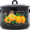 Кастрюля Эстет Цитрус ЭТ-72903