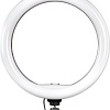Кольцевая лампа SmartBuy SBL-TTL-10