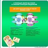 Набор для опытов Bondibon Японские опыты. Система пищеварения ВВ4727