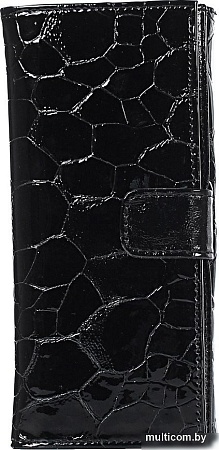 Портмоне Galanteya 14316 25с520к45 (черный)