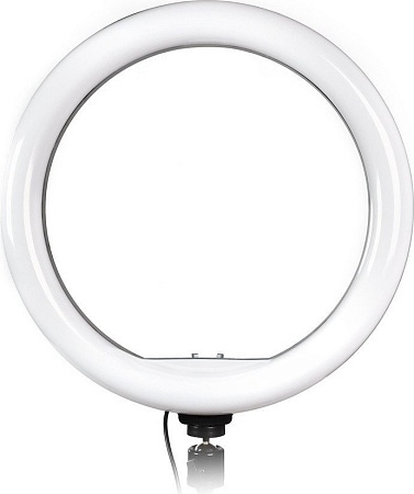 Кольцевая лампа SmartBuy SBL-TTL-10