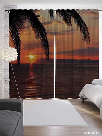 JoyArty Пальма ждет ночи p_17125