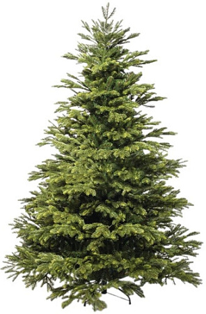 Ель National Tree Company Таежная ТЖ-230 230 см