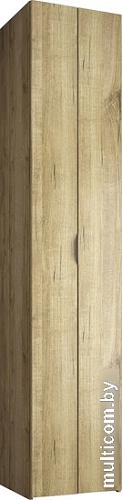 Шкаф-гармошка Евва Лайн ЛН-1D.240.44(0Z) (дуб кантри золотой)