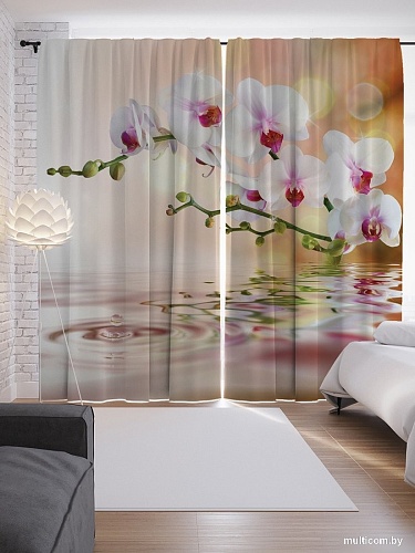 JoyArty Нежная орхидея p_2601