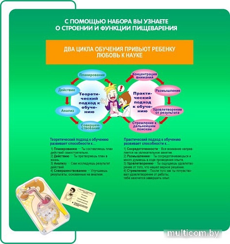 Набор для опытов Bondibon Японские опыты. Система пищеварения ВВ4727