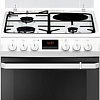 Кухонная плита Hansa FCMW68209