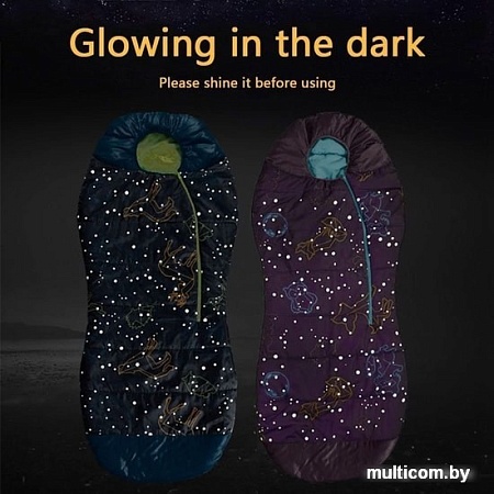 Спальный мешок AceCamp 3979 (фиолетовый/кокон)