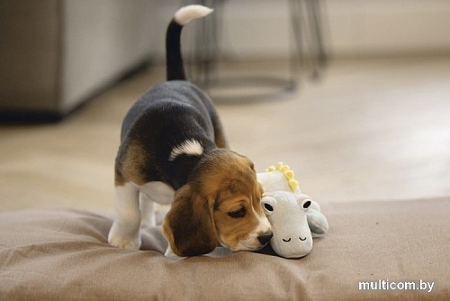 Игрушка для собак Beeztees Puppy Dinosaurus Vince 619140