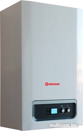 Отопительный котел Thermex Balius HM 30