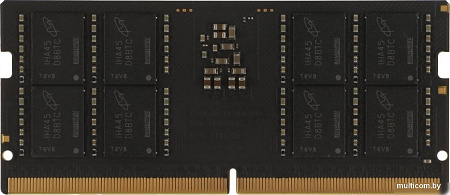 Оперативная память KingSpec 32ГБ DDR5 SODIMM 5200 МГц KS4800D5N11032G