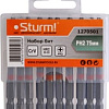 Набор бит Sturm 1270501 (10 предметов)