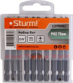 Набор бит Sturm 1270501 (10 предметов)