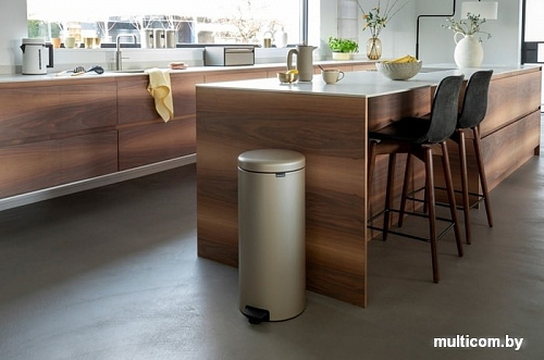 Brabantia Pedal Bin NewIcon 30 л (шампань)