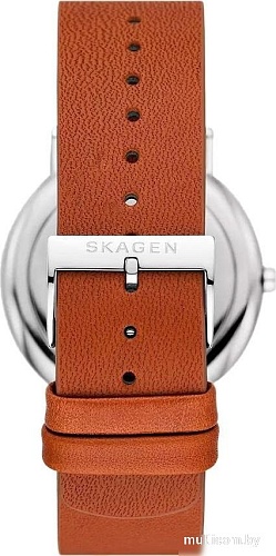 Наручные часы Skagen SKW6903