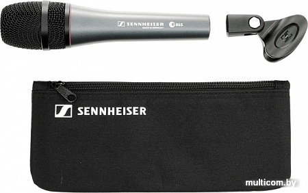 Микрофон Sennheiser e 865