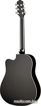 Акустическая гитара Naranda TG220CBK