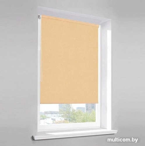 Рулонные шторы Lm Decor Лайт LM 30-10С 180x185