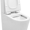 Унитаз Aquanet Rimless Atago-C1 BL-104N-TPT