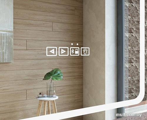 Vigo Зеркало Eva Media 700 L