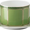 Чашка с блюдцем Rosenthal Signum Fern 10570-426349-14770